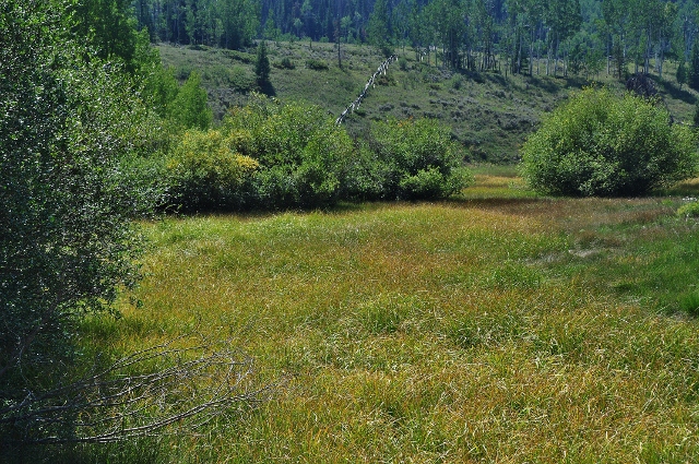 Lower Cataract Lake Trail